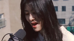 韩国群星 - 樱花蕾丝