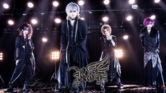 Royz - RAVEN