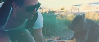 Q-Dance - Wild Ones