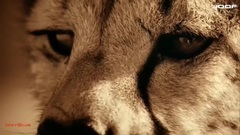 New - Spirit Awaking (Original Mix)