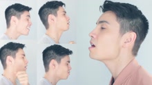 Sam Tsui - 翻唱一哥演绎GAGA《Million Reasons》