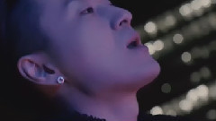 韩国群星 - 过去 (Rewind)