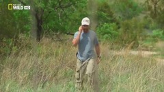 音乐短片 - 国家地理频道:狮语者 - 凯文·理查森 Wild The Lion Whisperer