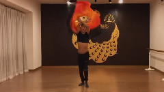 音乐短片 - 肚皮舞西域风情舞438