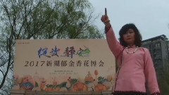 音乐短片 - 郁金幽香花满园