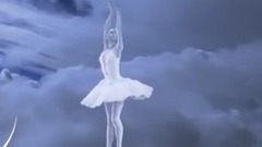 音乐短片 - Swan (With Lyrics)