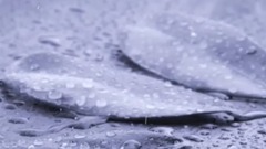 音乐短片 - Sometimes When It Rains...