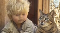 音乐短片 - Giovanni Marradi - Innocence