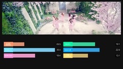 Apink - Bye Bye 歌词分布时长统计