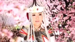万树繁花