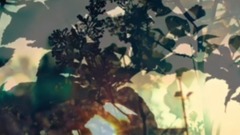 音乐短片 - 夜色这样的特别【夜曲萧邦】嵘的秘密