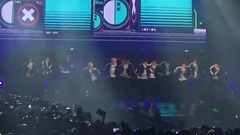 Seventeen - Mansae