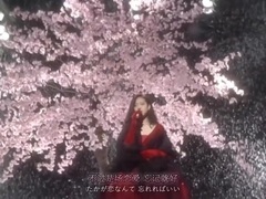 中森明菜 - 难破船