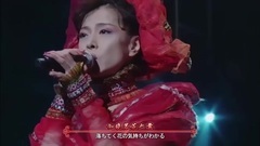 中森明菜 - 落花流水(06live)(中日双语字幕)