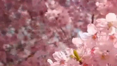 欧美群星,风景,音乐短片 - Fade