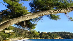 音乐短片 - Ansicht