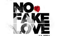 No Fake Love