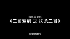 华语群星 - 二哥驾到