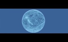 欧美群星 - Goodbye