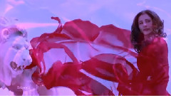 New - I'll Love You Forever