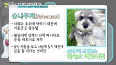 SONAMOO - SONAMOO pet house EP2 宠物屋