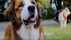 搞笑音乐,影视原声 - 电影<一条狗的使命>CUT