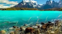 林俊杰,华语群星,风景,音乐短片 - 你是我的唯一