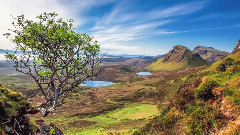 音乐短片 - Romantic Relaxing Music Beautiful Piano Music