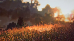 音乐短片 - 比安科尼抒情曲