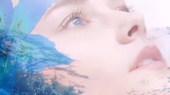 New - Spring Dream