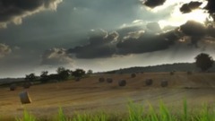 音乐短片 - 心声飞扬