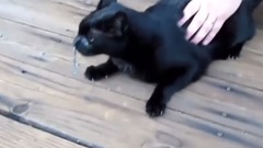 音乐短片 - Gdy pchasz nos tam gdzie nie trzeba