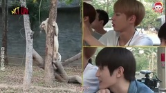 NCT,泰容（NCT）,NCT 127,NCT U - NCT LIFE 清迈篇 EP3 李泰容 cut