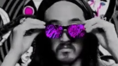 音乐短片 - Steve Aoki I'm In The House