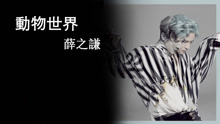薛之谦 - 薛之谦 - 动物世界 官方歌词版