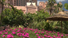 音乐短片 - 超清试机片