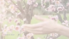 Nature Spirits