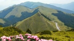 原创 - 山前山后百花开