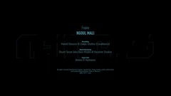 欧美群星 - Ngoul Mali