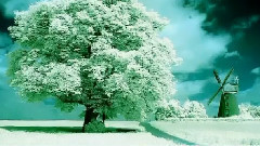 音乐短片 - 请您欣赏罕见的美