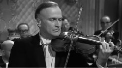 音乐短片 - 莫扎特A大调第五小提琴协奏曲