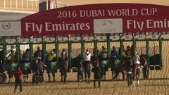 音乐短片 - DWC 2016 Race 9 Dubai World Cup Sponsored By Emirates Airline