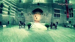 音乐短片 - Magic Mushroom Trip