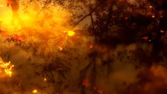 音乐短片 - 故梦(琵琶版)