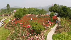 风景,音乐短片 - 沈阳情歌