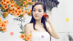 音乐短片 - 这首歌把我唱的心碎,不知谁还记得歌词,谁唱的!