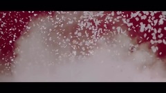 影视原声 - 可念不可说