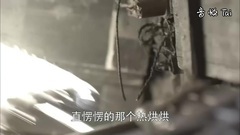 群星 - 兄弟