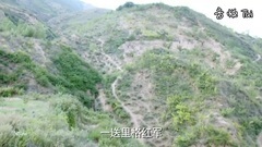 群星 - 十送红军