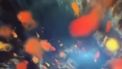 音乐短片 - 宇宙大爆炸